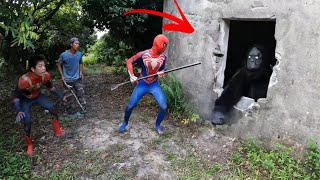 Super Hero SpiderMan Bravely Confronts King Kong [upl. by Ardnaik]