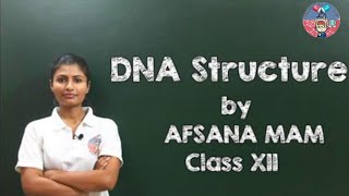 DNA Structure and its Composition Class 12 CBSE Biology [upl. by Toll517]