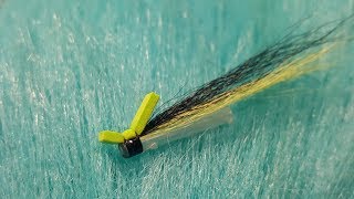 Tying a Foam Topped Riffle Hitch Tube with Martyn White salmon fly [upl. by Kuster75]