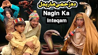 Nagin Ka Inteqam Da Zahme Maar Badal  New Funny Video 2024 by Tuti Gull Vines [upl. by Dirk19]