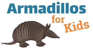 Armadillos for Kids [upl. by Nick890]