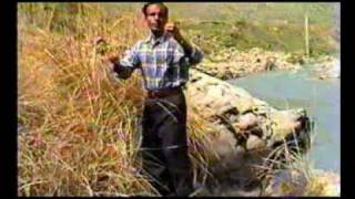 new kurdish song funny nice voice and nice clip Muhammad hashmati [upl. by Keverne]