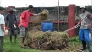 Part 1 Composting the fast and easy way in English and Tagalog [upl. by Hackney821]