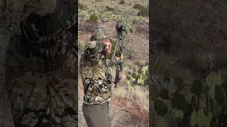 PERFECT Bow Shot on a Javelina [upl. by Robinette425]