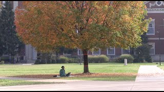 Tis the Season to be Blue How Seasonal Depression Affects the Black Community [upl. by Nnoj65]