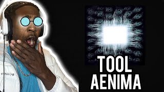 SO POWERFUL FIRST TIME HEARING Tool  AEnima Audio REACTION [upl. by Batha]