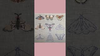 Hand embroidery  moth sampler embroidery stitchintwine insectembroidery [upl. by Tabbatha461]