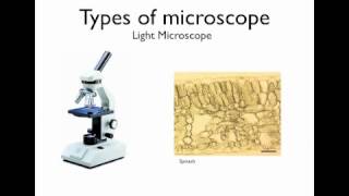 Microscopy  Types of Microscopes [upl. by Alcus]