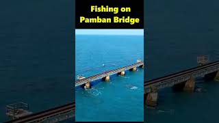 Fishing on Pamban Bridge shorts [upl. by Saddler]