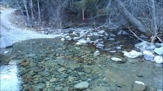 Whipsaw Creek Placer Gold Claim [upl. by Lipsey]