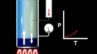 Vapor Pressure vs Temperature [upl. by Anaujik]