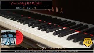 Billy Joel  Glass Houses  You May Be Right HD Audio [upl. by Yerot]