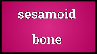 Sesamoid bone Meaning [upl. by Amehr]