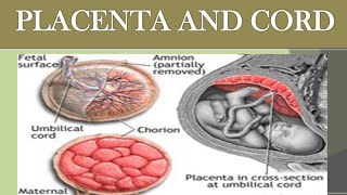 ABNORMALITIES OF PLACENTA amp CORD NOTES WITH EXPLANATION [upl. by Inalel]