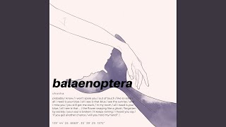 balaenoptera [upl. by Dnomal]