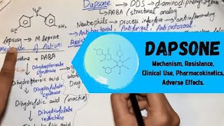 DAPSONE  Mechanism Resistance Clinical Use Pharmacokinetics Adverse EffectsUrduHindi [upl. by Ilaire]