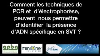 PCR et électrophorèse en TP de SVT [upl. by Anirehs]