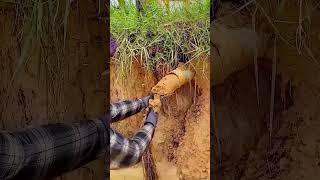 Woman clear blocked drainage pipe in the village [upl. by Caz247]