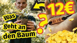 Dieses Armband pflanzt 1 Baum 🌳 Aber SO WENIG 💰 landet im Wald 😳 Wir testen 3 Shops [upl. by Noiztneb]