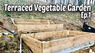 How to Make Terraced Raised Beds for Vegetable Gardening  E1 [upl. by Loar]