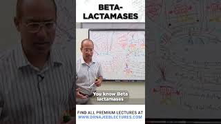 Beta Lactamases drnajeeb drnajeeblectures shortvideostatus [upl. by Nicoli]