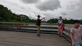 Singapore Macritchie Reservoir Walk [upl. by Nirred]