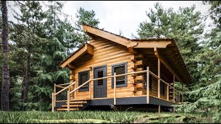 Log Cabin Building TIMELAPSE Built by ONE MAN and Grandson [upl. by Bowler]