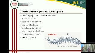 Classification of phylum Arthropoda up to classes English [upl. by Notniuqal]