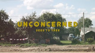 Seed to Tree  quotUnconcernedquot Official Video [upl. by Etnahsal]