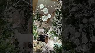 garden centres at Christmas 🫶🏼 gardencenter christmastime [upl. by Meek]