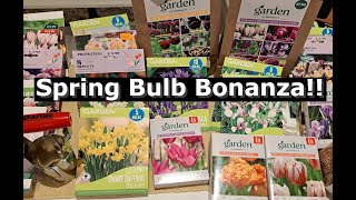 Spring Bulbs  What Ive bought and where i bought them from [upl. by Ahsiri]