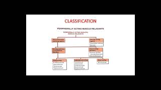 Skeletal Muscle Relaxants SMRs [upl. by Naol387]