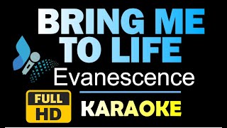 BRING ME TO LIFE Evanescence Karaoke HQ Instrumental [upl. by Pascia]