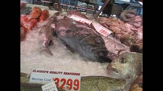 Sydney Pyrmont Fish Market [upl. by Eissahc]