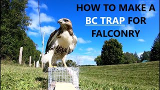 How to build a BC Bal Chatri Trap for Falconry  ACR FALCONRY [upl. by Gilchrist]