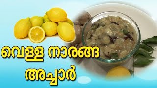 വെള്ള നാരങ്ങ അച്ചാര്‍  Vella Naranga Achar Kerala Style  White Lemon Pickle recipe in Malayalam [upl. by Caspar332]