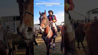 Horses market equestrain shorts horse asmr [upl. by Joela]