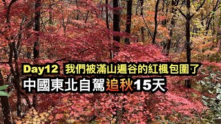 day12 我們被滿山遍谷的紅楓包圍了︱中國東北自駕追秋15天 [upl. by Schober]