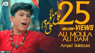 ALI MOLA ALI DAM DAM  AMJAD BALTISTANI  Official Video  TNA RECORDS [upl. by Githens]