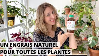 🌿 UN ENGRAIS NATUREL UTILISABLE TOUTE LANNÉE POUR TOUTES LES PLANTES  CEST POSSIBLE [upl. by Cchaddie945]