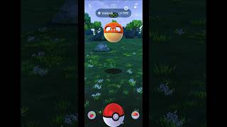 Catch Voltorb Hisuian Today in Pokemon GO Indonesia  Shorts Voltorb PokemonGOGameplay [upl. by Tenaj]