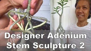 Designer Adenium Stem Sculpture  Advanced [upl. by Ariom282]