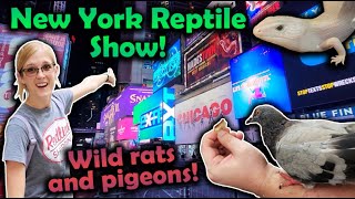 Attending the White Plains Reptile Expo New York Vlog [upl. by Noteloc]