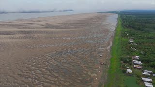 quotSituación críticaquot en afluentes del río Amazonas por sequía en Brasil  AFP [upl. by Orravan957]