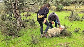 La que tenemos aquí liada madrita mía [upl. by Scarrow]