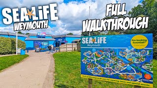 Sea Life Weymouth Full Walkthrough with Pirate Treasure Hunt August 2023 4K [upl. by Aihtnamas314]