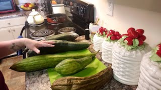 How to process a LUFFA GOURD From green gourd to clean sponge [upl. by Stockton]