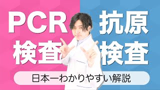 PCR検査 と 抗原検査 の違いを８分で解説する動画 [upl. by Elleret]