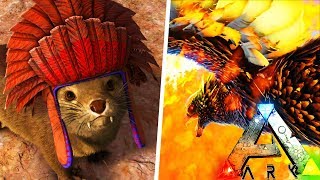 ARK COMANDO SPAWNEAR EL PHOENIX Y EL OTTER NIVEL 1000 PS4XBOXPC Ark Survival Evolved [upl. by Stefania943]