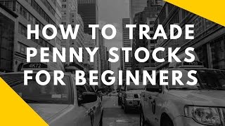 How To Trade Penny Stocks For Beginners [upl. by Enelear881]